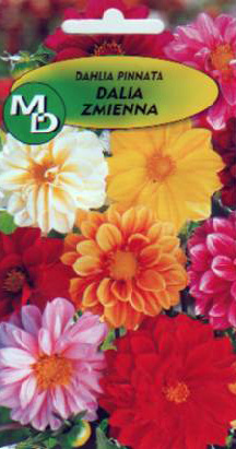 Kaufen Sie polnische Gemüseblumensamen in großen Mengen
