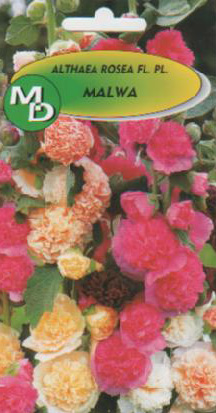 Kaufen Sie polnische Gemüseblumensamen in großen Mengen