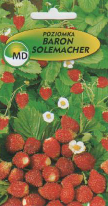 Kaufen Sie polnische Gemüseblumensamen in großen Mengen